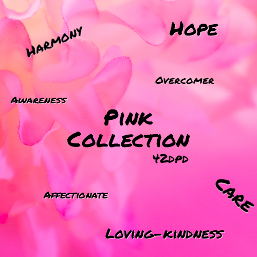 Pink Collection Fave Crew neck shirt