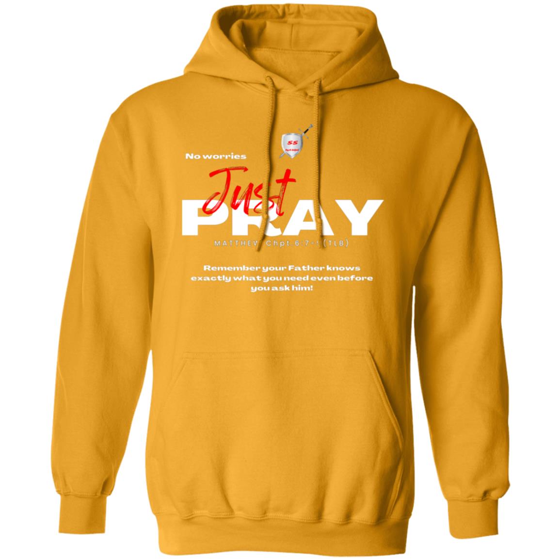 No worries Just PRAY by42dpd Red letter edition Pullover Hoodie